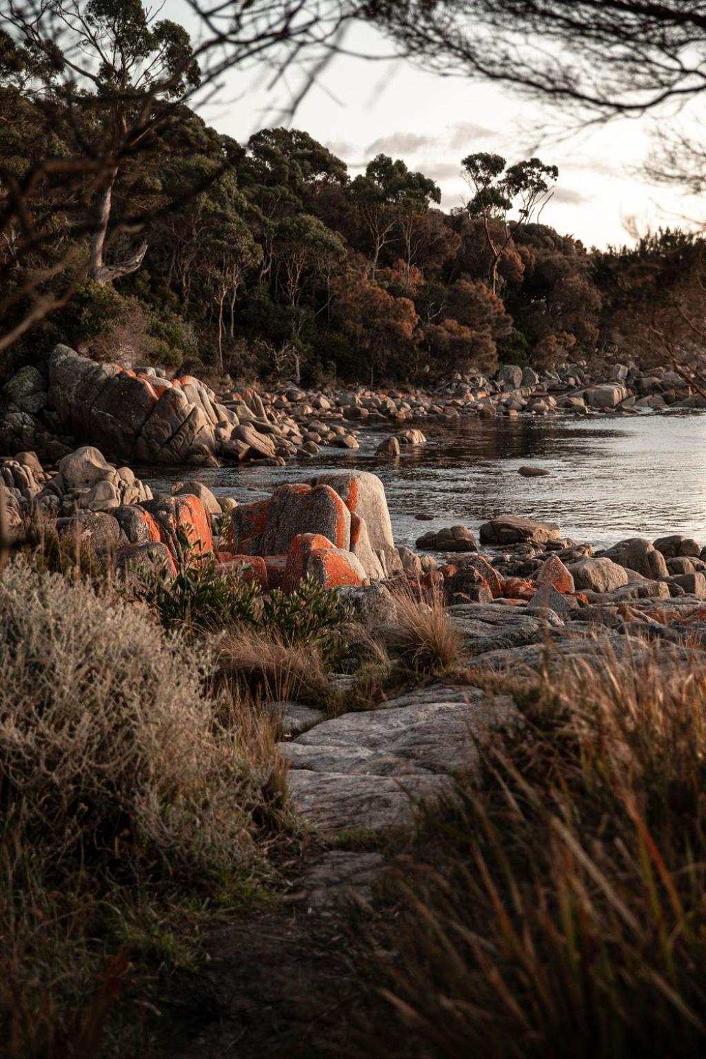 Villa Driftwood Rest Binalong Bay Sleeps 4 Exterior foto