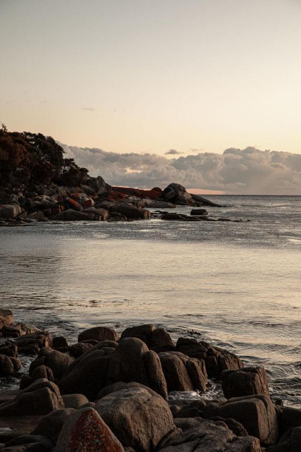 Villa Driftwood Rest Binalong Bay Sleeps 4 Exterior foto