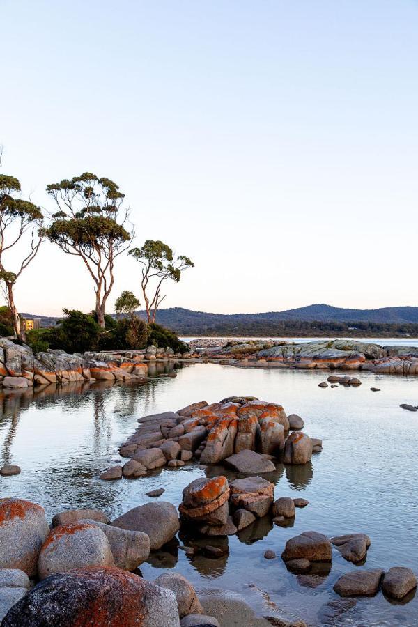 Villa Driftwood Rest Binalong Bay Sleeps 4 Exterior foto